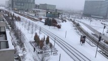 Snow Storm  At Toronto