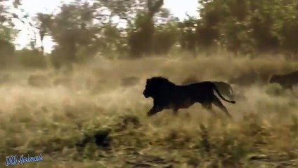 구미출장서비스 구미출장서비스O1Og2143g9131｛카톡KOM88｝ 구미출장마사지샵 구미출장안마on구미출장안마cos여3♪⇔∃마사지황형♥◚≪