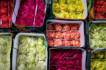 Here's How You Can Score Two Dozen Roses for $20 at Whole Foods This Valentine's Day