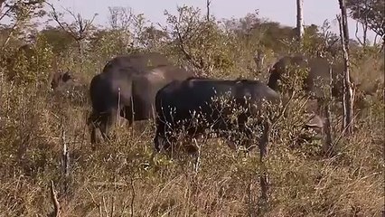 목포출장서비스 목포출장서비스O1OE2104E4640｛카톡YOK88｝ 목포출장마사지샵 목포출장안마on목포출장안마cos여3♪⇔∃마사지황형♥◒≪