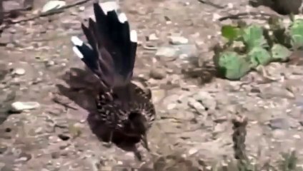 전남출장서비스 전남출장서비스O1Og2118g2518｛카톡KTX53｝ 전남출장마사지샵 전남출장안마on전남출장안마cos여3♪⇔∃마사지황형♥►≪