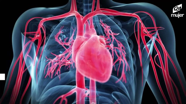 La ciencia confirma que el estrés sí te saca canas