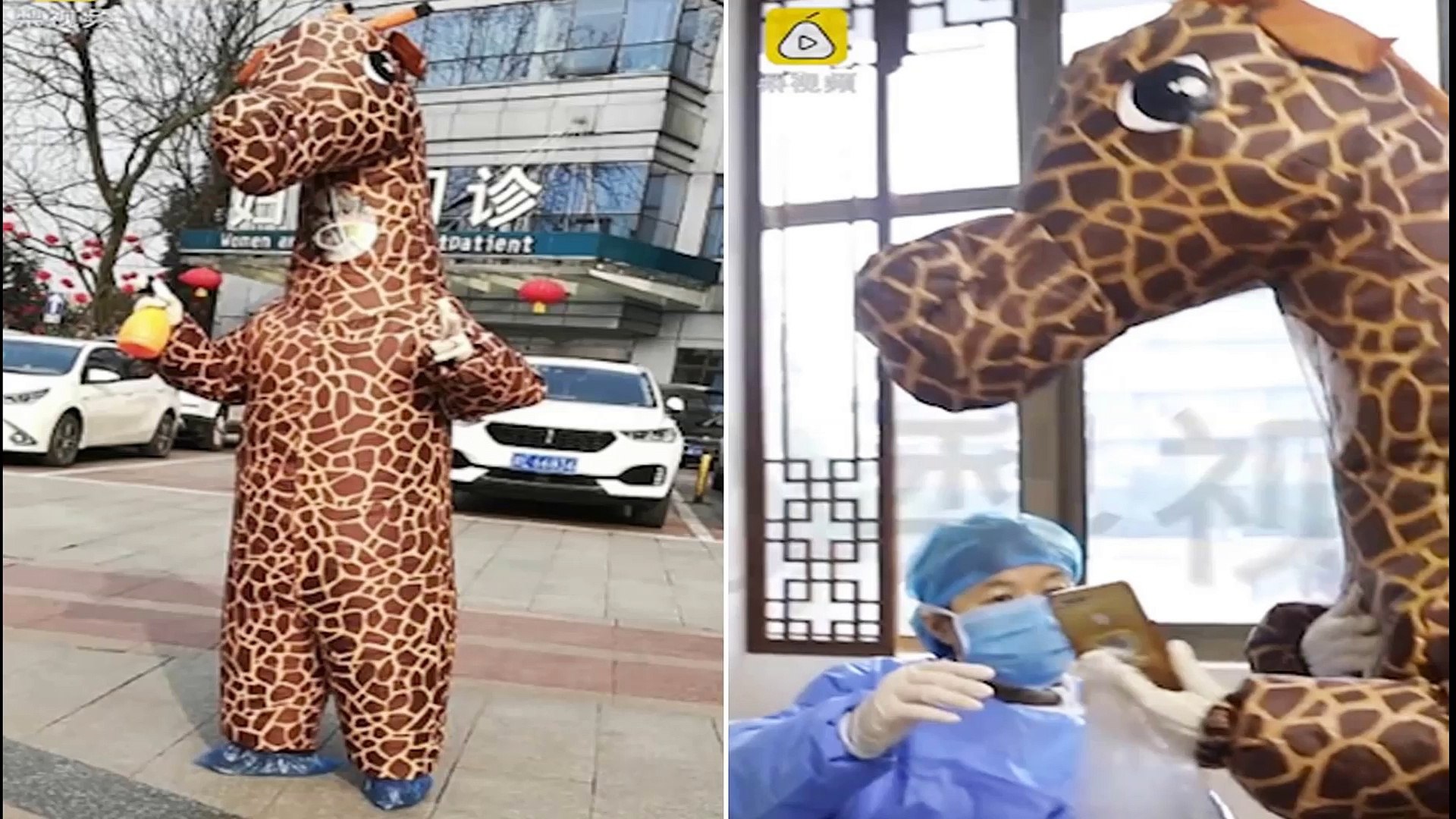 CORONAVIRUS: Woman without mask in coronavirus zone wears giraffe costume to protect herself