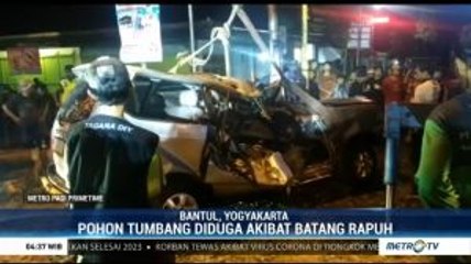 1 Orang Meninggal Dunia Tertimpa Pohon Tumbang di Bantul