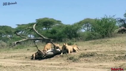 만안출장서비스 만안출장서비스O1Og2154g6609｛카톡LOT45｝ 만안출장마사지샵 만안출장안마on만안출장안마cos여3♪⇔∃마사지황형♥≳≪