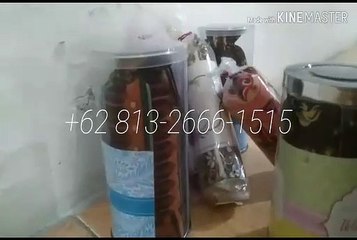 TERLARIS!!! +62 813-2666-1515, Souvenir Aqiqah Murah di Surabaya