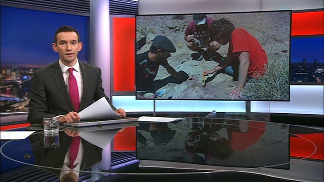 Scientists in Argentina discover a new dinosaur related to the Tyrannosaurus Rex