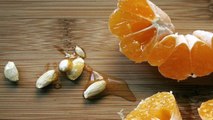Orange Seeds से कई सारे होते है Benefits | संतरा खाकर बीज ना फेंके, होंगे कई फायदे | Boldsky