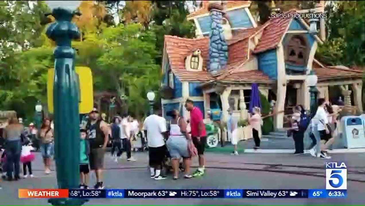 Viral_Video_Shows_Fight_at_Disneyland(480p) (1)