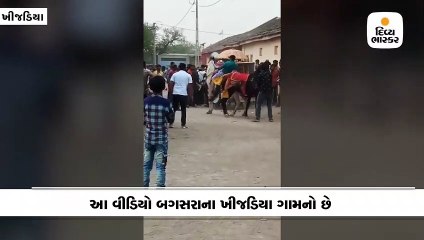 બગસરાના ખીજડીયામાં ઘોડાએ યુવકની આંખમાં લાત મારી