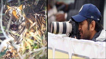 MS Dhoni Wows Fans With His Photography Skills