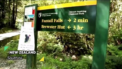 New Zealand police find body of missing British hiker