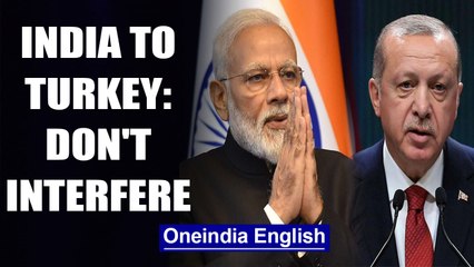 India to Turkish President on J&K: Don't interfere with internal matters|OneIndia News