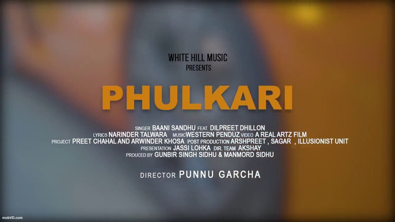 Phulkari-Baani Sandhu, Dilpreet Dhillon-720p