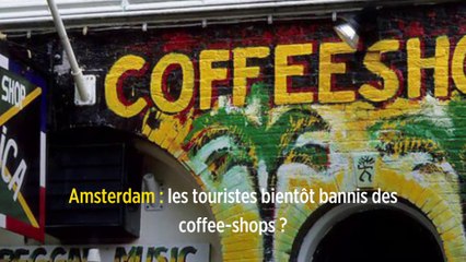 Amsterdam : les touristes bientôt bannis des coffee-shops ?