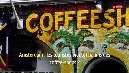 Amsterdam : les touristes bientôt bannis des coffee-shops ?