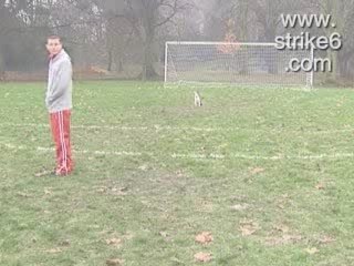 Humour chien foot