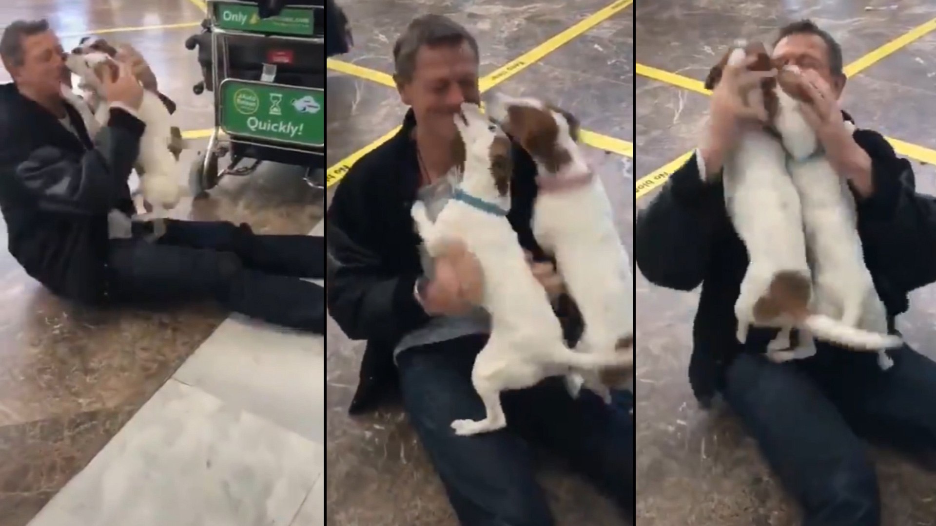 ⁣Viral Video : Pet Dogs Pure Love Towards Owner