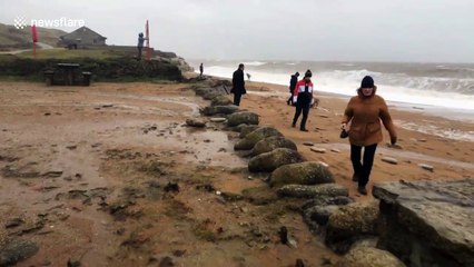 Thrill-seekers risk lives to dodge huge waves from Storm Dennis on UK beach