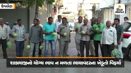 શાકભાજીના યોગ્ય ભાવ ન મળતા ભાયાવદરના ખેડૂતોએ રસ્તા પર શાકભાજી ફેંકીને વિરોધ કર્યો