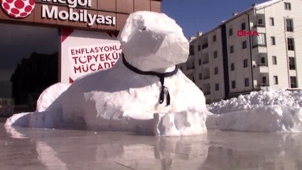 Sivas 5 metrelik kardan kangal köpeği ilgi çekti