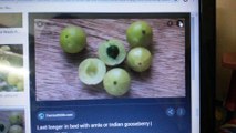 Health -  Amla  khane Ke Benefits . / आँवला के फायदें !!