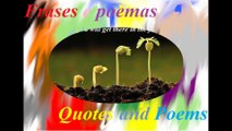 Even a seed needs time to grow, you will win! (Motivation) [Quotes and Poems]
