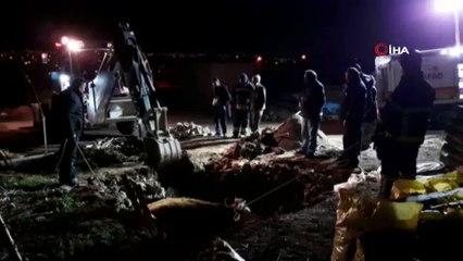 Fosseptik çukuruna düşen hamile inek itfaiye tarafından kurtarıldı