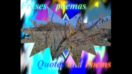 A bad tree bears bad fruit, but in the roots... [Quotes and Poems]