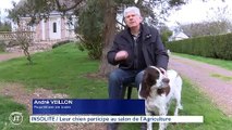 INSOLITE Leur chien participe au salon de l'Agriculture