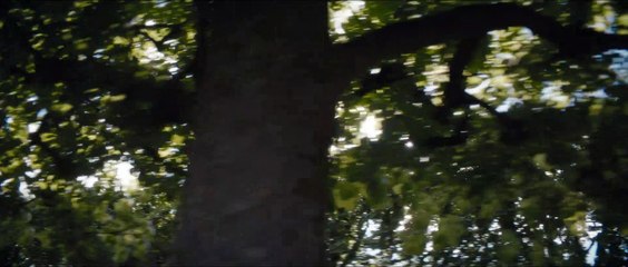 CASANOVA, SU ÚLTIMO AMOR - Tráiler Español [2K][FLAC 2.0]