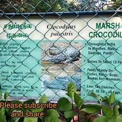 கிண்டி சிறுவர் பூங்கா- Guindy -முதலை பண்ணை -பாம்பு பண்ணை-national children park Chennai -  part-2