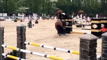 Ce cheval respecte sa cavalière même pendant les chutes... Classe