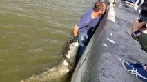 Ce pêcheur a attrapé un énorme poisson dans la Seine à paris... Maintenant il faut le remonter