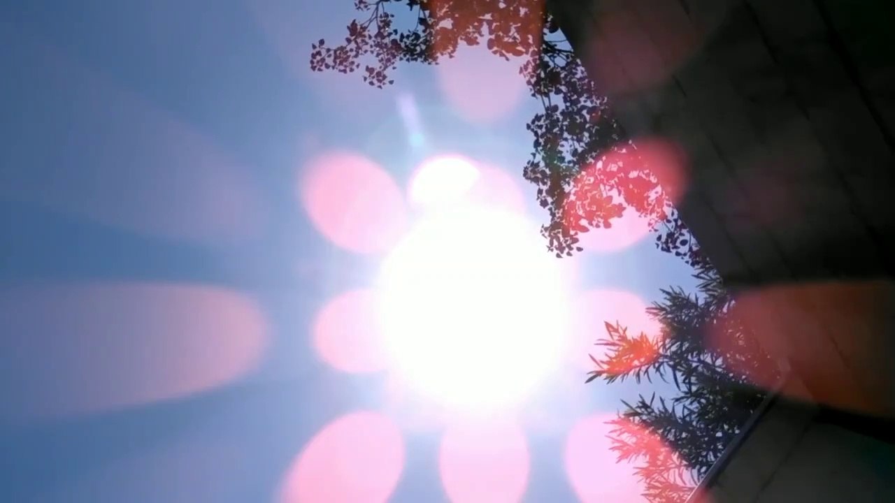 SANTISIMA VIRGEN MARIA EN EL REINO DE LOS CIELOS