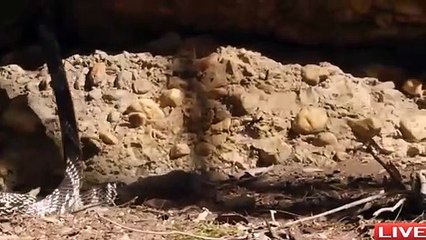 광명출장서비스 광명출장서비스O1Og4838g4959｛카톡NET47｝ 광명출장마사지샵 광명출장안마on광명출장안마cos여3♪⇔∃마사지황형♥◙≪