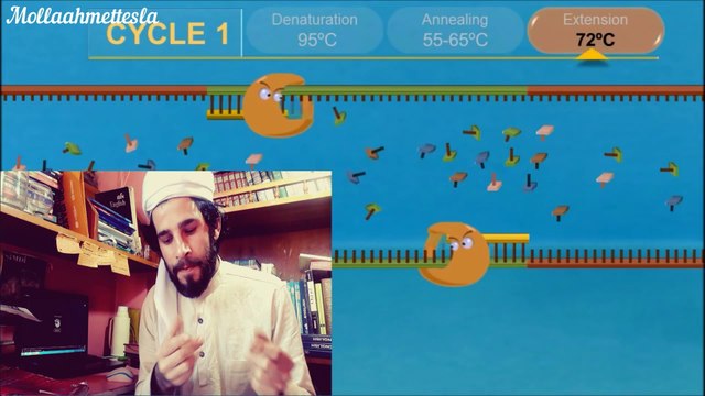 Polimeraz Zincir Reaksiyonu (PCR) Polymerase Chain Reaction (Subtitle) تفاعل البلمرة المتسلسل