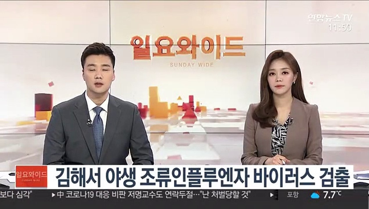 김해서 야생 조류인플루엔자 바이러스 검출