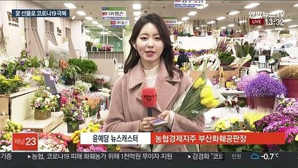 화훼업계 코로나19 직격탄…"꽃 선물·나눔해요"
