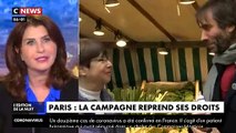 Municipales à Paris: Après l'affaire des vidéos de Benjamin Griveaux la campagne reprend ses droits