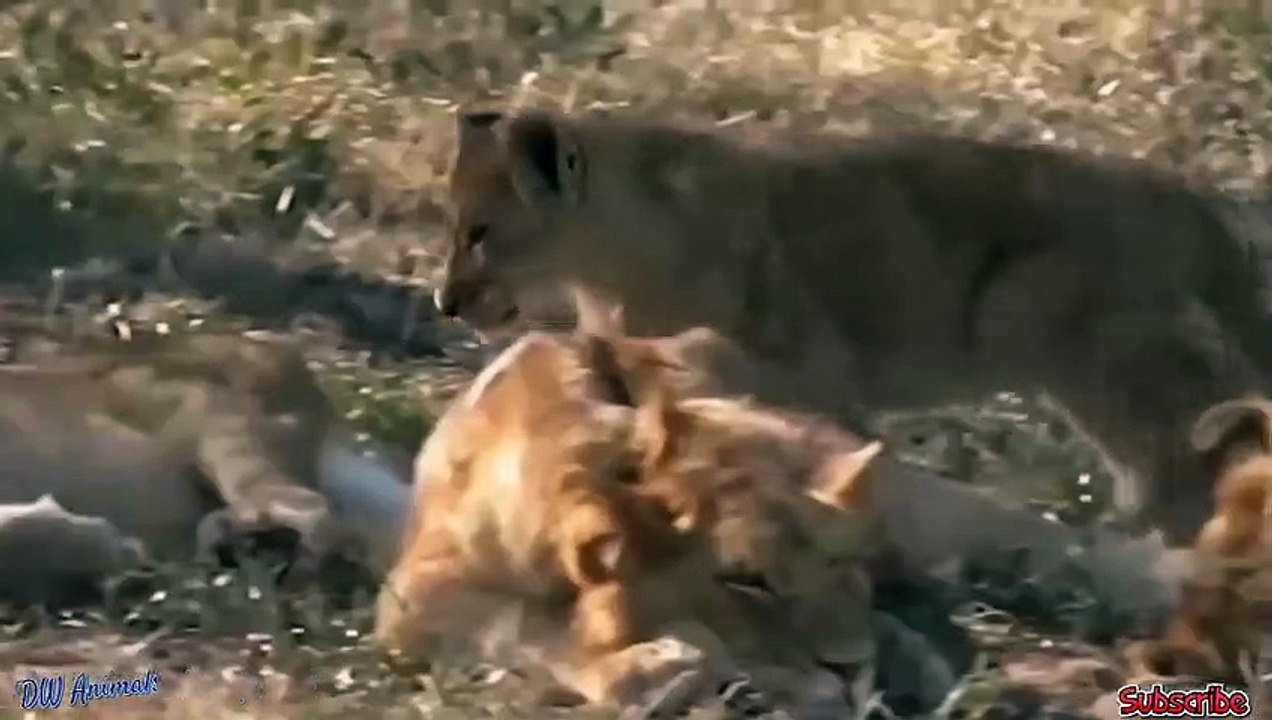 여수출장서비스 여수출장서비스O1Og2143g9131｛카톡VAS66｝ 여수출장마사지샵 여수출장안마on여수출장안마cos여3♪⇔∃마사지황형♥⊐≪