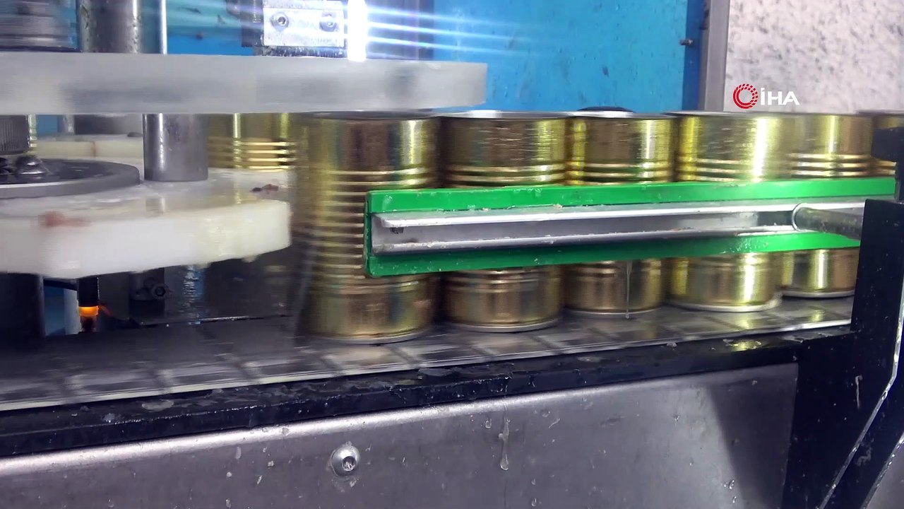 2 ay önce kediköpek maması üretim tesisi kurdu, 5 ülkeden teklif aldı