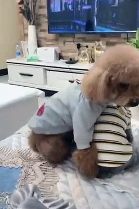 Bestee Di U #Love_Life_Animals