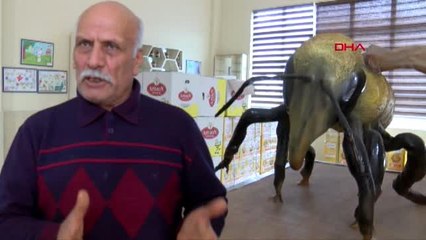 Hatay suriye arısı, ıslah ediliyor