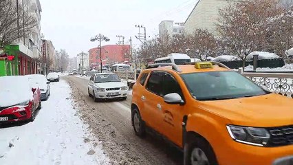 Kar yağışı yaşamı olumsuz etkiliyor - VAN