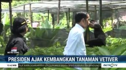 Presiden Ajak Masyarakat Kembangkan Tanaman Vetiver
