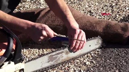 Antalya-13 yaşından beri testeresiyle geçimini sağlıyor