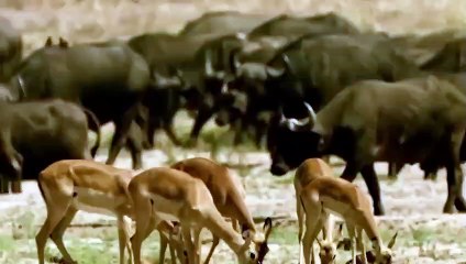 관악출장서비스 관악출장서비스O1OE6579E3382｛카톡VS67｝ 관악출장마사지샵 관악출장안마on관악출장안마cos여3♪⇔∃마사지황형♥∘≪