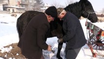 Kaybolmaya yüz tutan nalbantlık mesleği, AB projesiyle yaşatılacak - AFYONKARAHİSAR