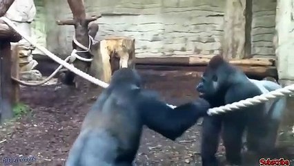 대구출장서비스 대구출장서비스O1Og2118g2518｛카톡KFC49｝ 대구출장마사지샵 대구출장안마on대구출장안마cos여3♪⇔∃마사지황형♥∰≪